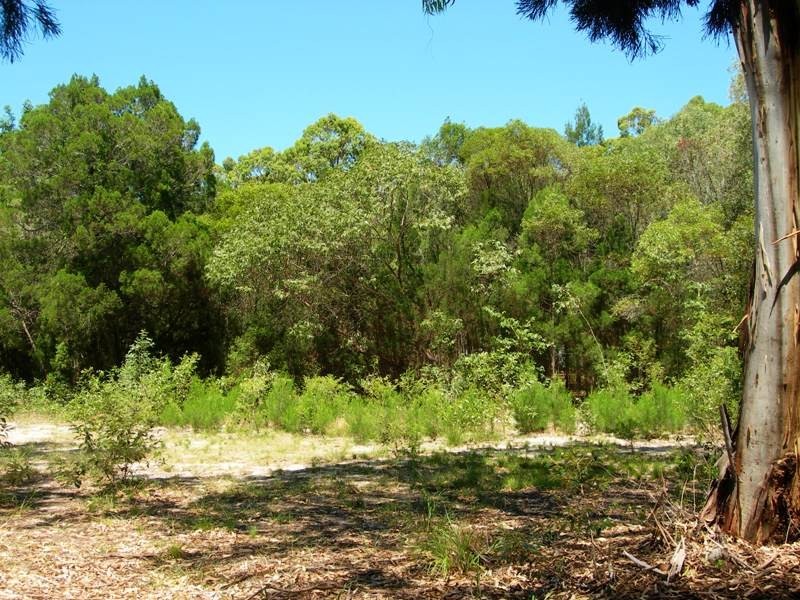 19 Satinwood, Rainbow Beach QLD 4581