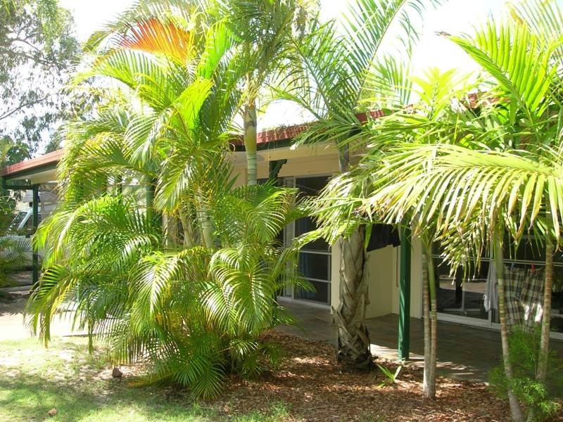 11 Cypress Avenue, Rainbow Beach QLD 4581