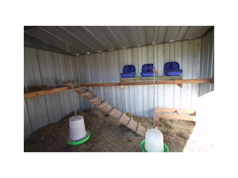 85 Tablelands road, Cooran QLD 4569