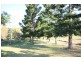 85 Tablelands road, Cooran QLD 4569