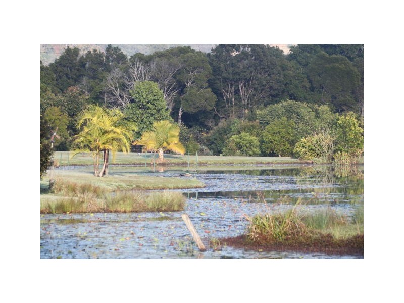 85 Tablelands road, Cooran QLD 4569