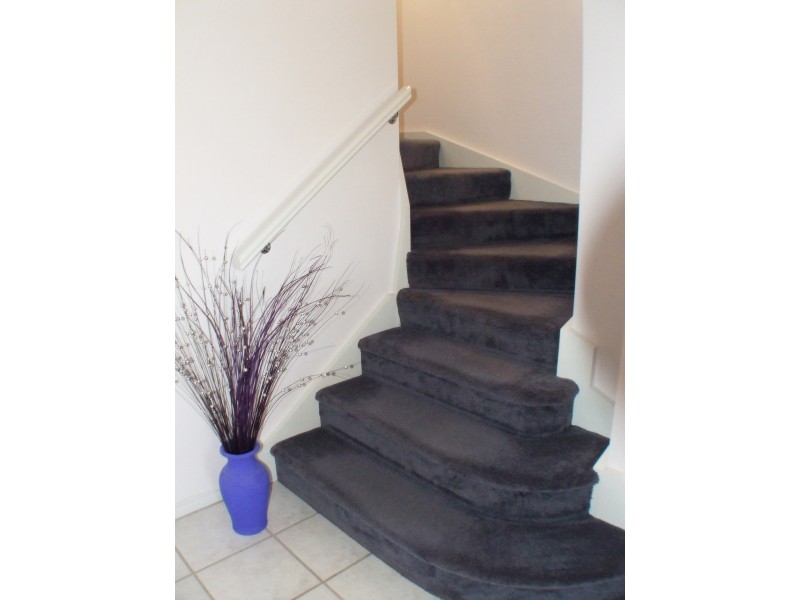 14 Coney Ct, Mountain Creek QLD 4557