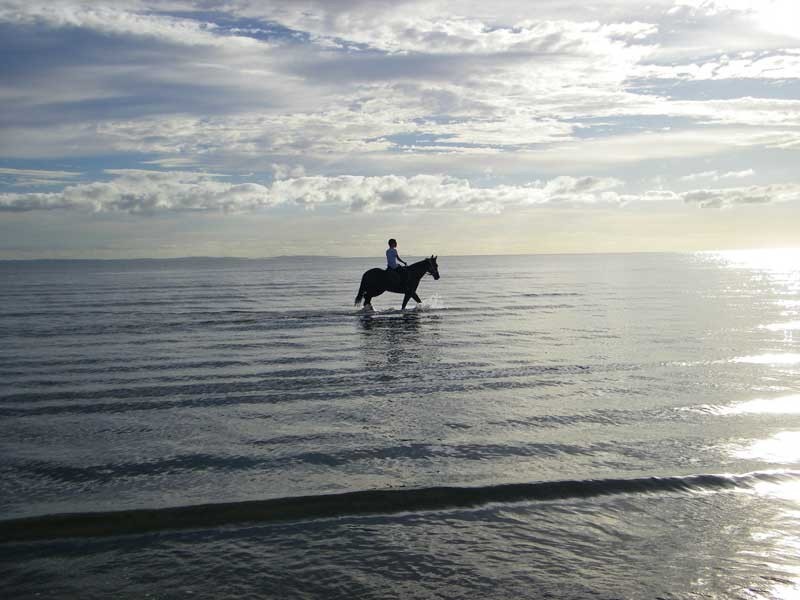 360 FLINDERS PARADE, Brighton QLD 4017