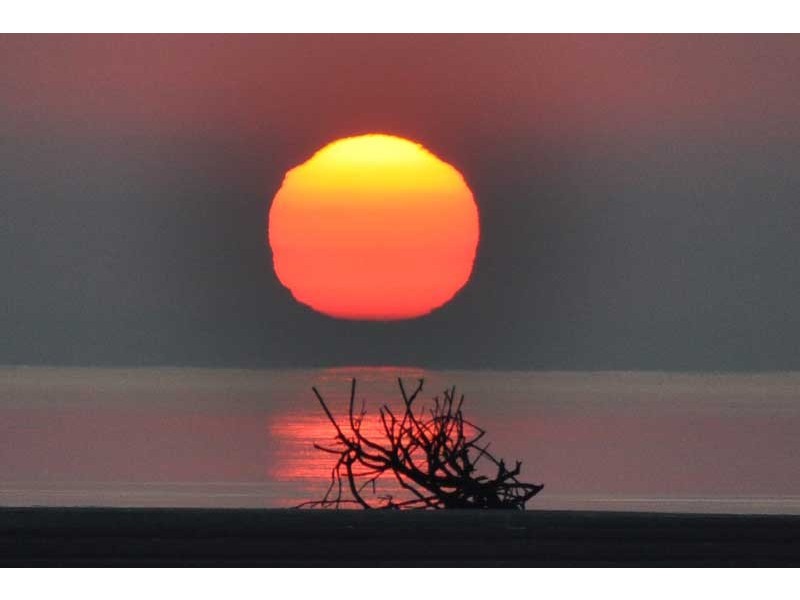 362 FLINDERS PARADE, Brighton QLD 4017