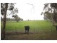 79 Camden Park Rd, Tumbarumba NSW 2653