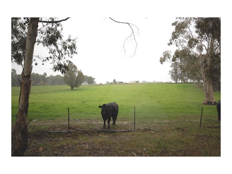 79 Camden Park Rd, Tumbarumba NSW 2653