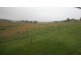 80 Camden Park Rd, Tumbarumba NSW 2653