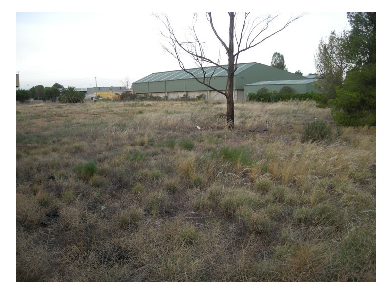 35 Twigg St, Griffith ACT 2603