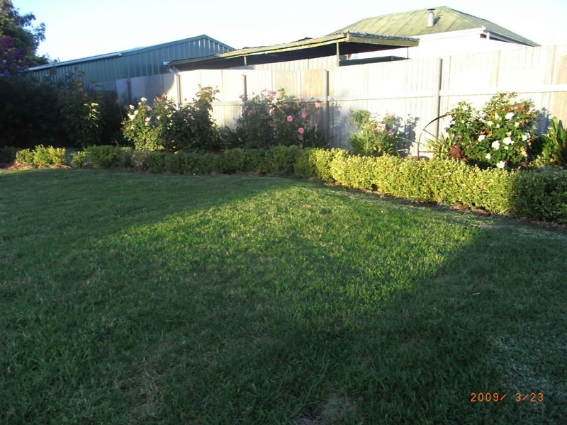 13 Ferrier St, Lockhart NSW 2656