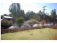 25 Day St, Wagga Wagga NSW 2650