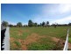 6 Orme St, Boree Creek NSW 2652