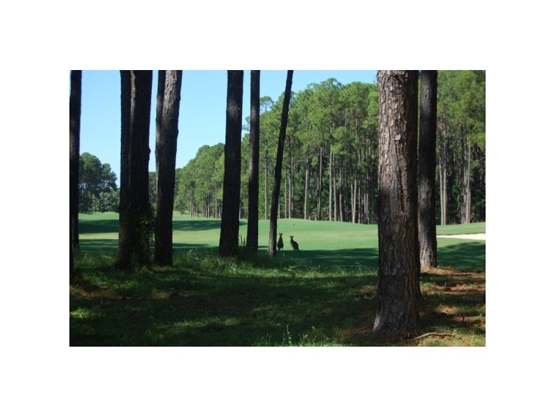 Hope Island QLD 4212