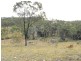 Coringa QLD 4621