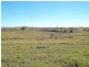 Dallarnil QLD 4621