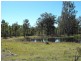 Coringa QLD 4621