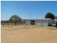 Mingo QLD 4625
