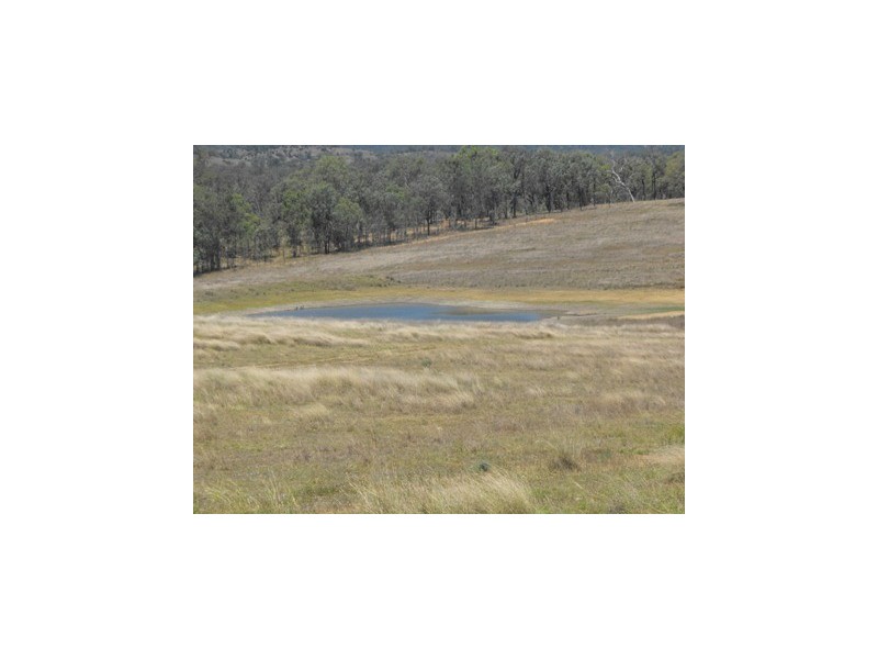 Mingo QLD 4625