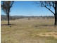Mingo QLD 4625