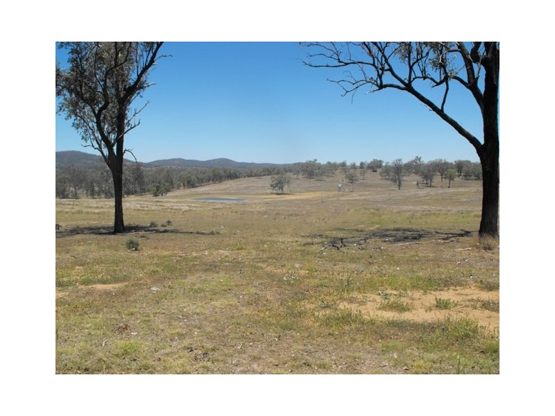 Mingo QLD 4625