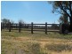 Mingo QLD 4625