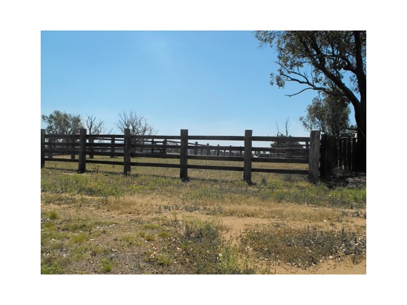 Mingo QLD 4625