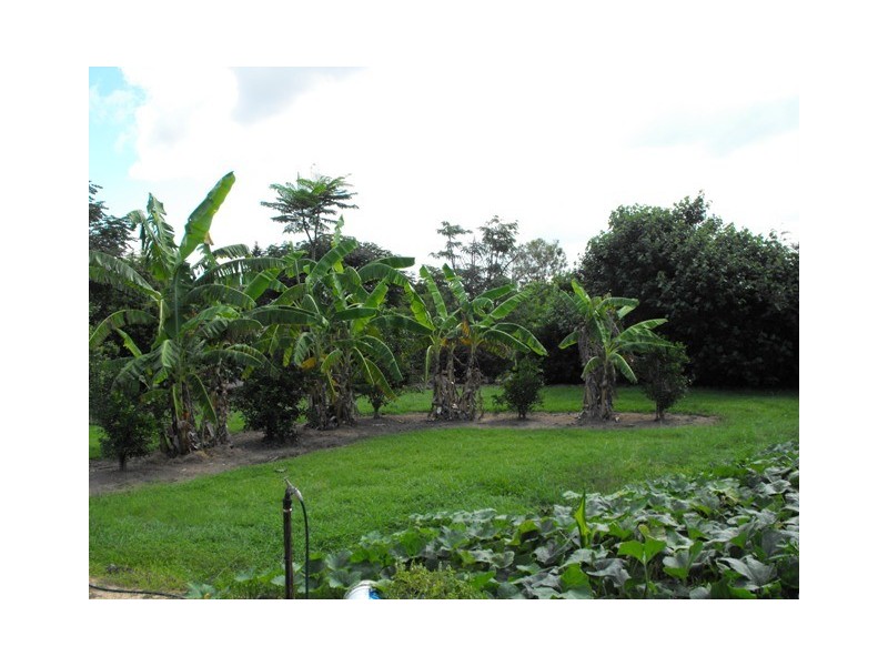 Degilbo QLD 4621