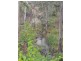 Dallarnil QLD 4621