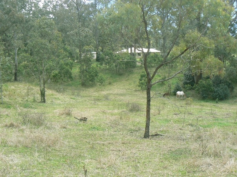 48 Wilkes Road, Hampton QLD 4352