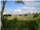 Avondale QLD 4670