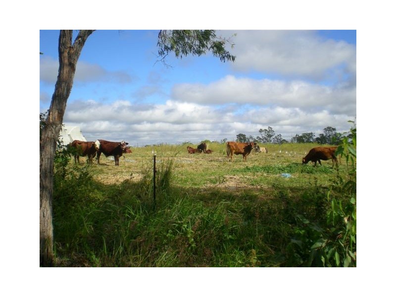 Avondale QLD 4670