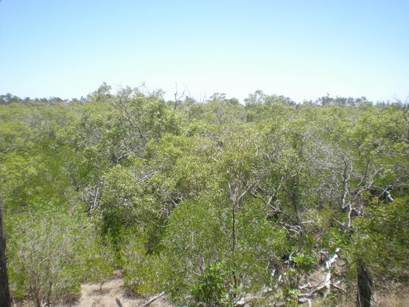 Moore Park Beach QLD 4670