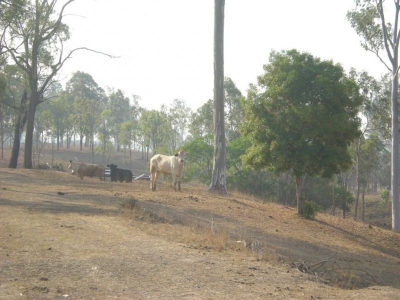 Duingal QLD 4671