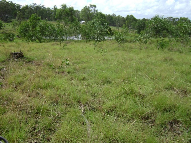 Lot 1 Munduran Road, Yandaran QLD 4673
