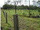 Lot 1 Munduran Road, Yandaran QLD 4673