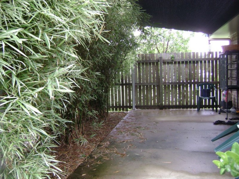 4 McKenzie, Bundaberg North QLD 4670