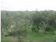 Bargara QLD 4670