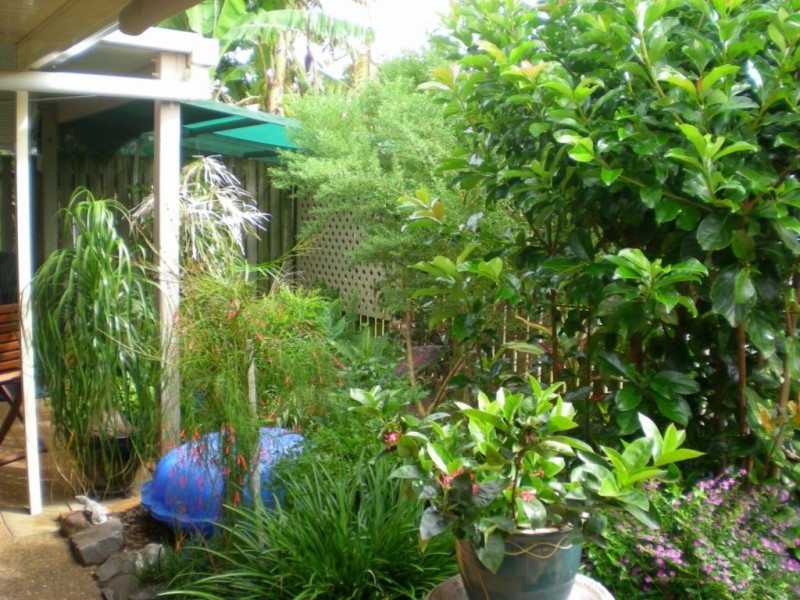 Avenell Heights QLD 4670