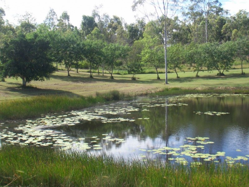 403 Sully & Dowdings Rd, Pine Creek QLD 4670