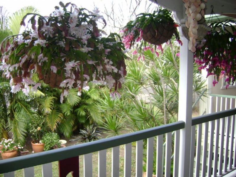 1 Frankllin Street, Bundaberg South QLD 4670