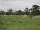 South Bingera QLD 4670