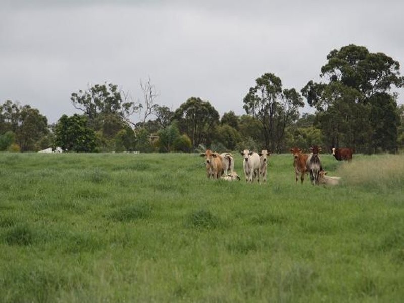 South Bingera QLD 4670