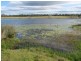 South Bingera QLD 4670