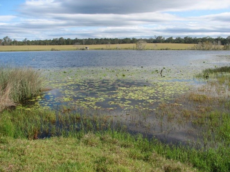 South Bingera QLD 4670