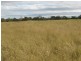 South Bingera QLD 4670