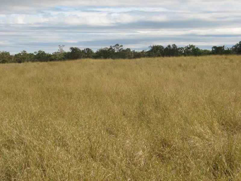 South Bingera QLD 4670