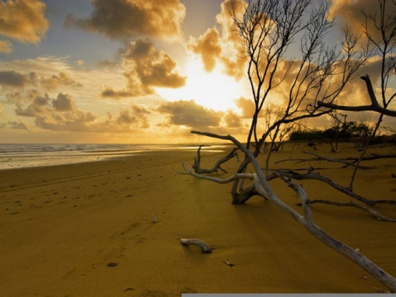 Lot 6 & 7 Kentia Avenue, Moore Park Beach QLD 4670