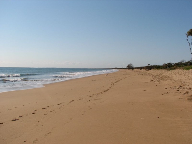 Lot 6 & 7 Kentia Avenue, Moore Park Beach QLD 4670