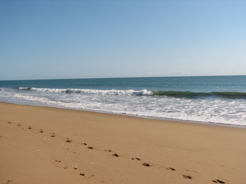 Lot 6 & 7 Kentia Avenue, Moore Park Beach QLD 4670