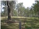 665 Birthamba Road, South Kolan QLD 4670