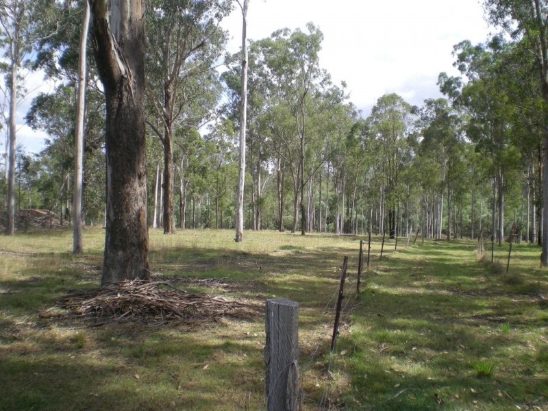 665 Birthamba Road, South Kolan QLD 4670